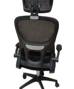 Ergonomic Executive Chair Ac - 01