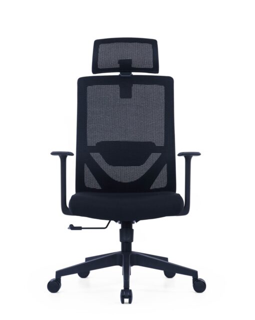 Executive Chair Ab-01