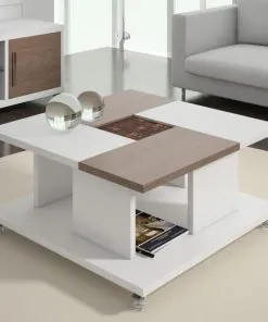 Center table, glass center table, wooden center table, coffee table